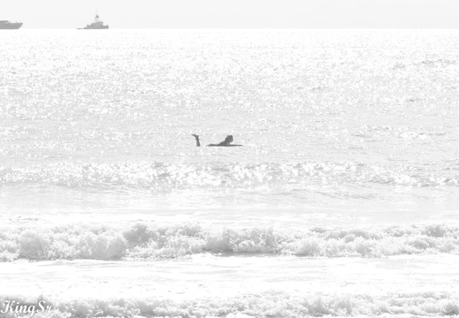 Madison, Seth & Frankie August 26th 2023