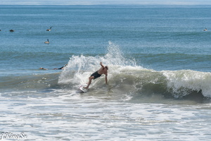 Surf9-1