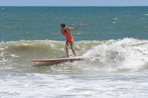 Surf2.4-1